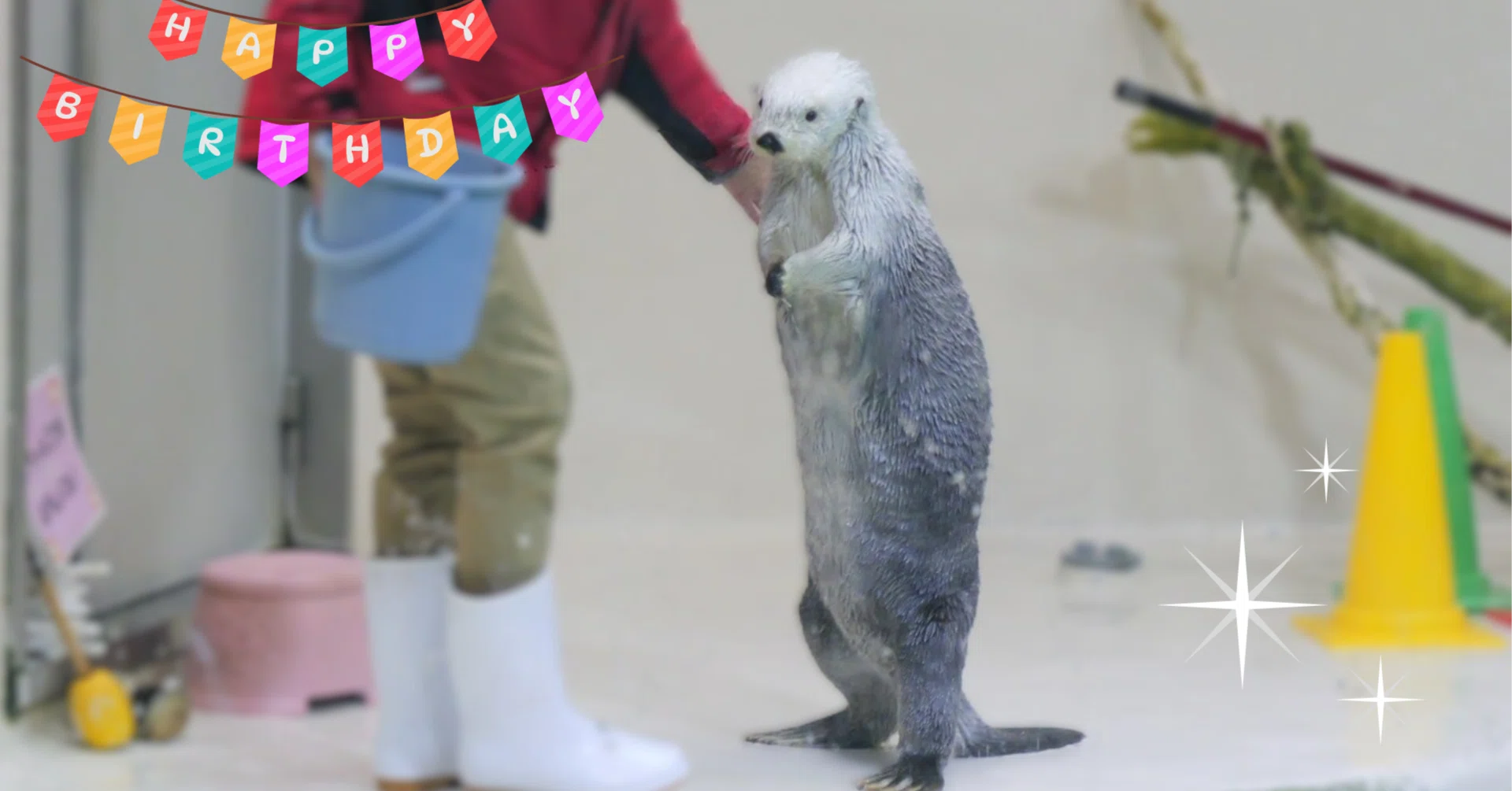 鳥羽水族館】メイちゃん22歳おめでとう！｜Hina＠新幹線大好き