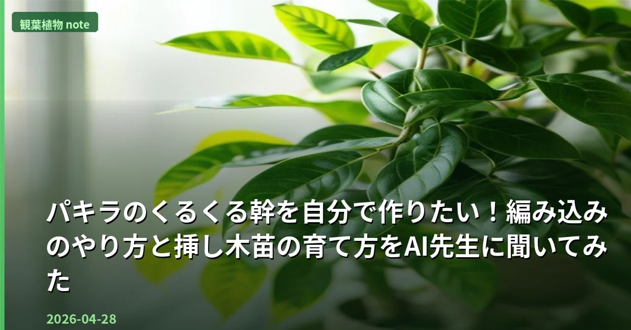 パキラのくるくる幹を自分で作りたい！編み込みのやり方と挿し木苗の