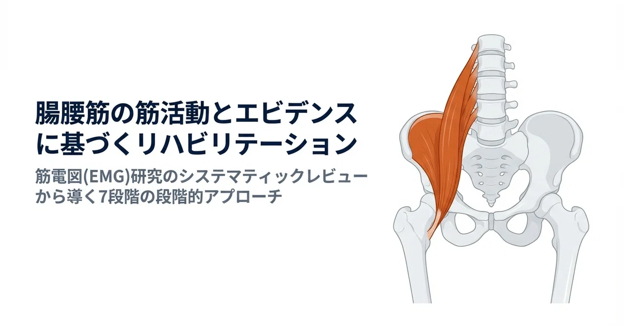 股関節の安定性を支配する「腸腰筋」：最新エビデンスに基づく段階的