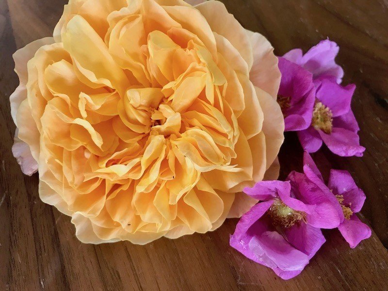 Bramble Rose 風バラのジャム入りカクテル ヒガシリカ Note Bramble Rose 風バラのジャム入りカクテル ヒガシリカ Note