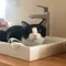 かなたなか