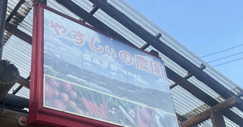 小松菜 ほうれん草とかぶが旬 体験農園