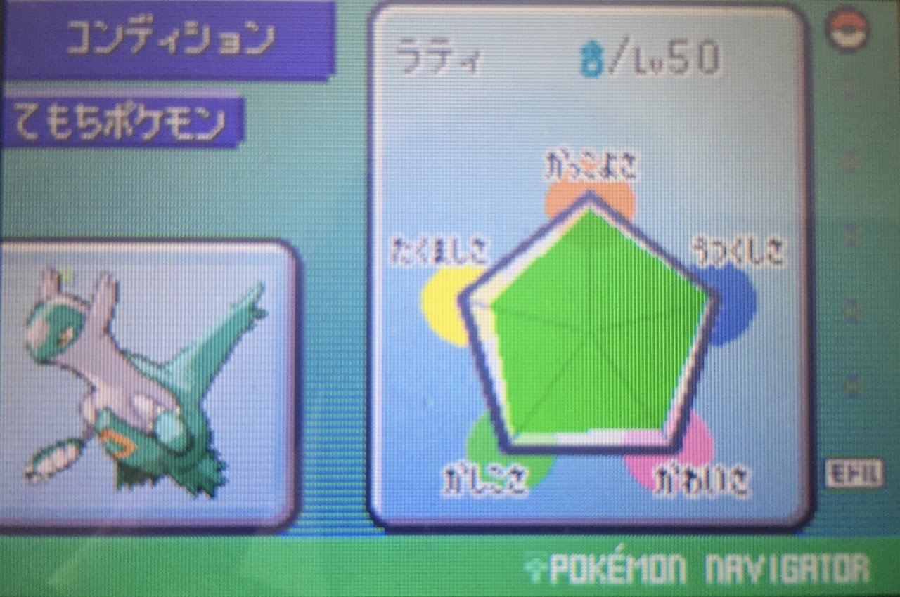 全リボン ラティオス 3世代 Fumi Note 全リボン ラティオス 3世代 Fumi Note