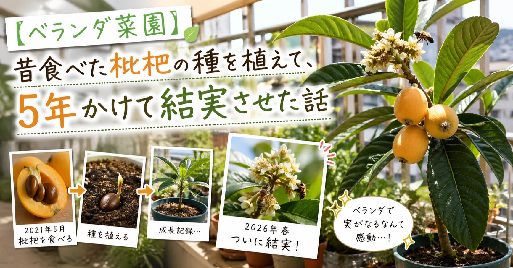 wildflower bulk seeds Organo Republic main image 1