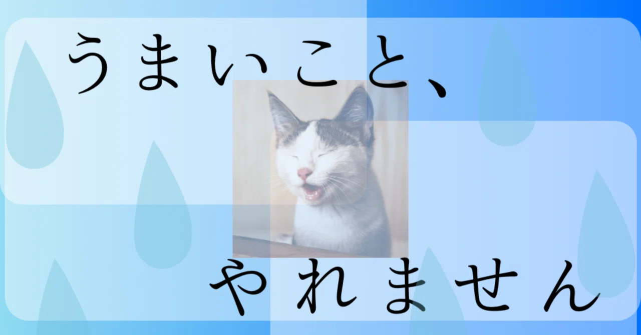 見出し画像