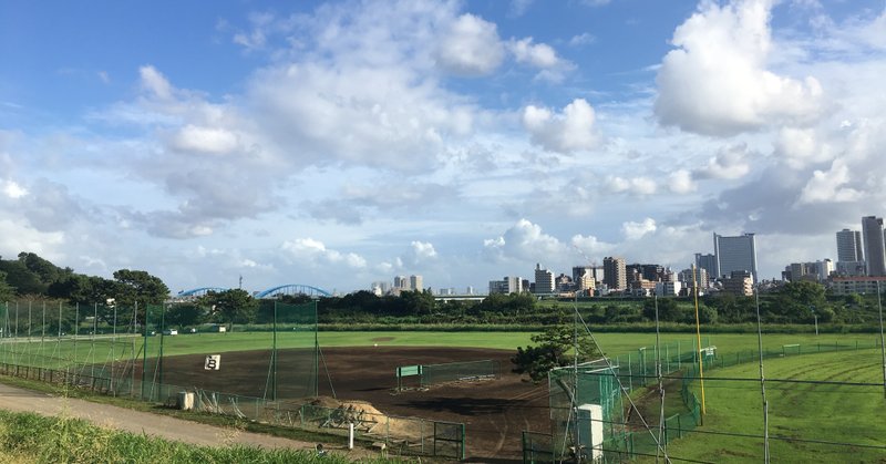 野球を好きでい続けたから、仕事になった。