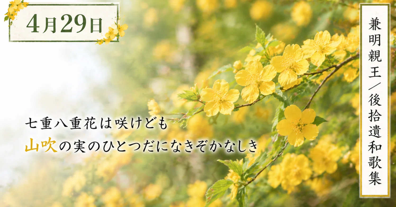 一首一会【4月29日】七重八重花は咲けども山吹の実のひとつだになきぞ