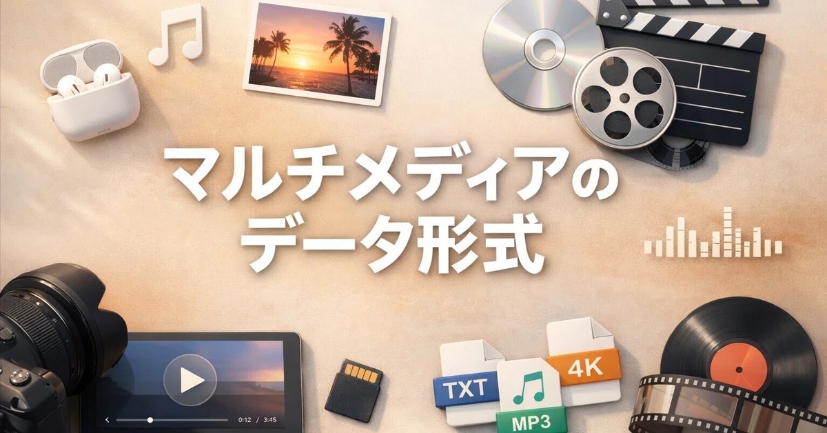 Management Information Systems / Multimedia Data Formats｜しんさん
