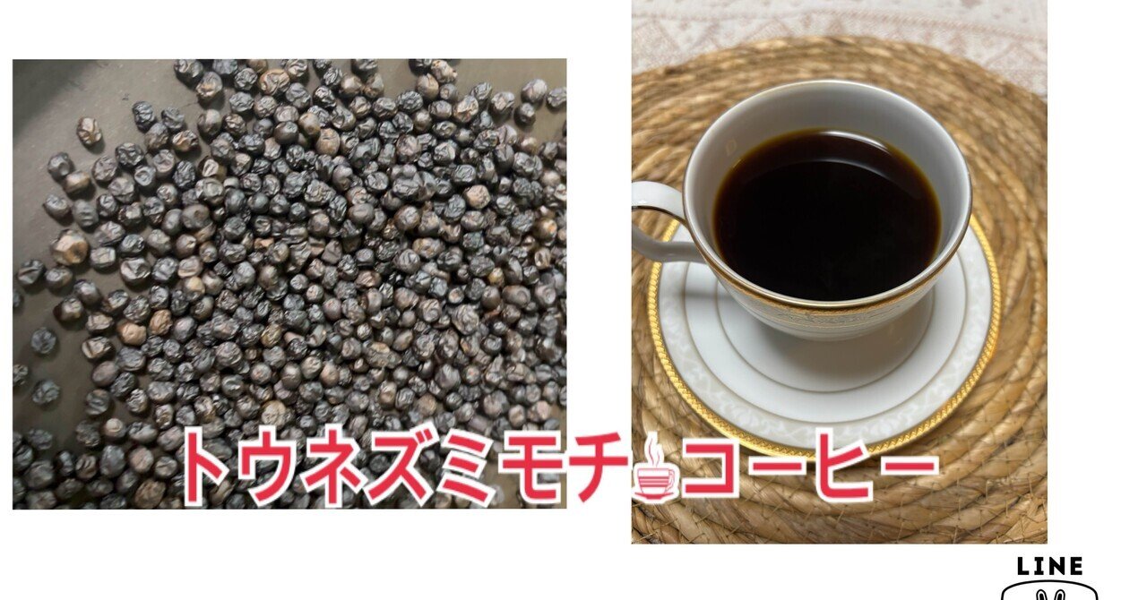 確認用　トウネズミモチ トウネズミモチ☕︎コーヒー🍎林檎酢漬け｜字運Jiun🍚命詞也meshiya🌈