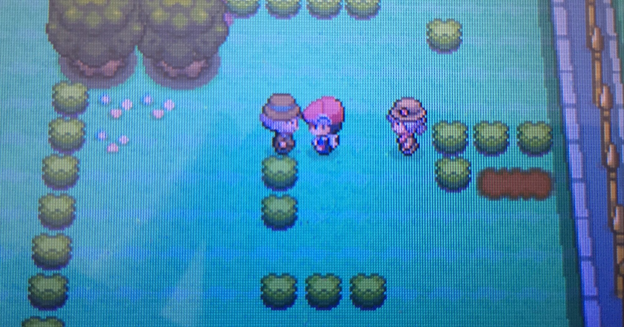 全リボン ラティオス 4世代dpt編 Fumi Note 全リボン ラティオス 4世代dpt編 Fumi Note