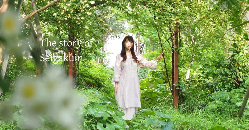 美しいものにある浄化作用で、自分の心の中の暗闇に光を増す｜#083（前編）　渡辺 麻恵さん