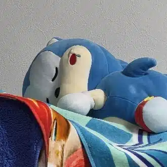 ガムシ猫