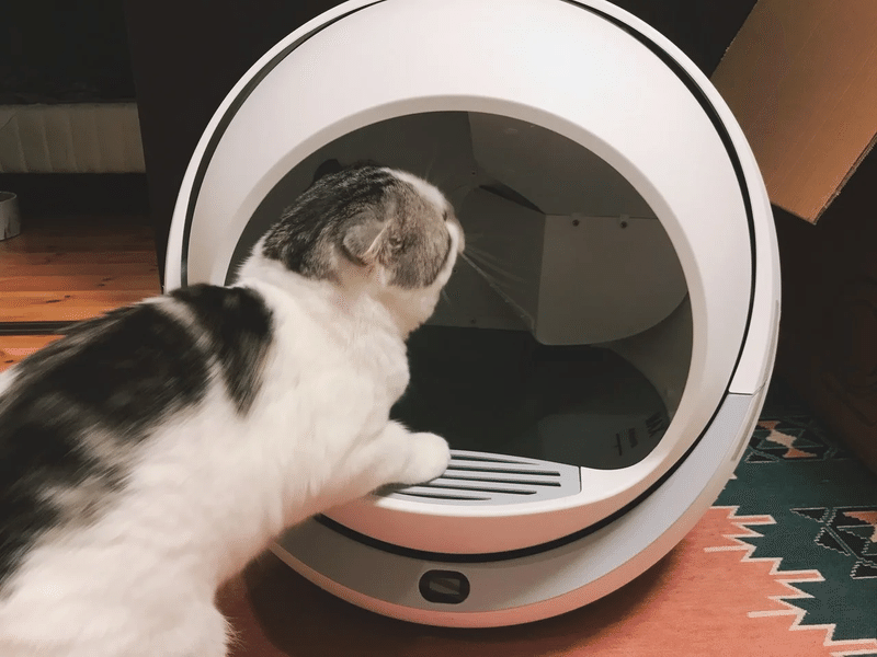 猫の自動トイレを比較 選ぶポイントまとめ むみ 賃貸で初めて猫を飼うひと Note