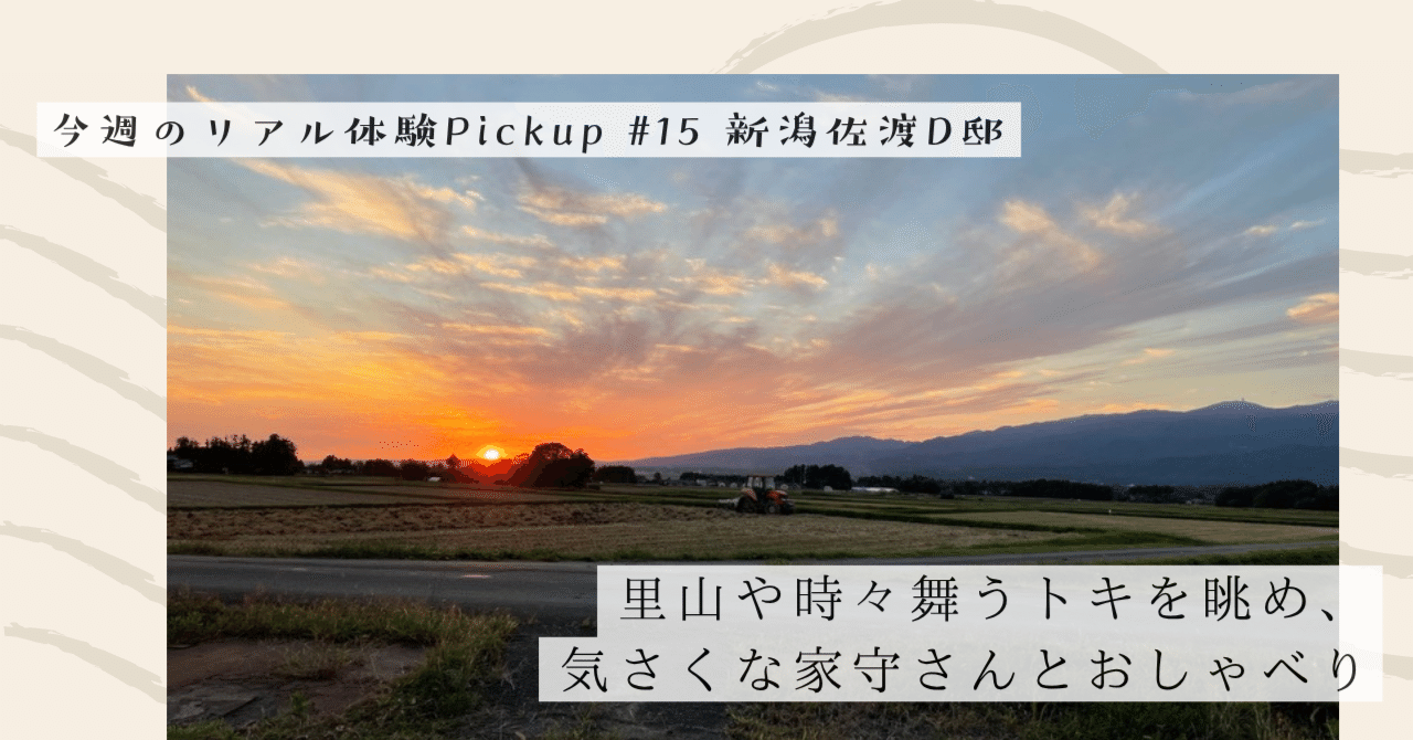 里山や時々舞うトキを眺め、気さくな家守さんとおしゃべり【今週のPickup #15 新潟佐渡D邸】｜#ADDressLife（アドレスライフ）