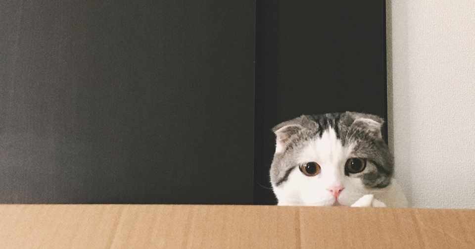 猫の自動トイレを比較 選ぶポイントまとめ むみ 賃貸で初めて猫を飼うひと Note