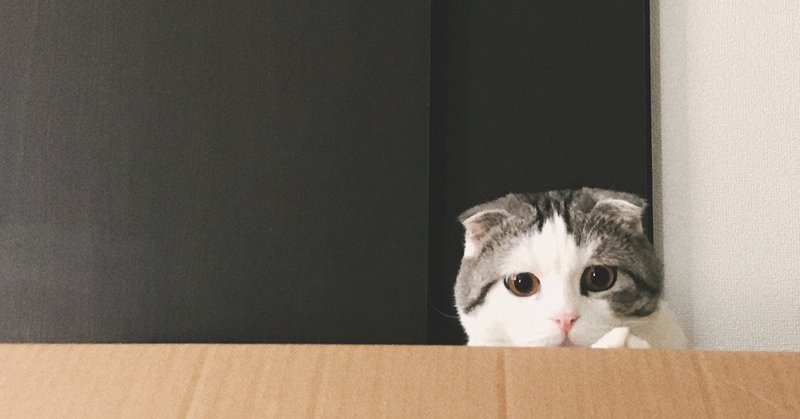 猫の自動トイレを比較 選ぶポイントまとめ むみ 賃貸で初めて猫を飼うひと Note