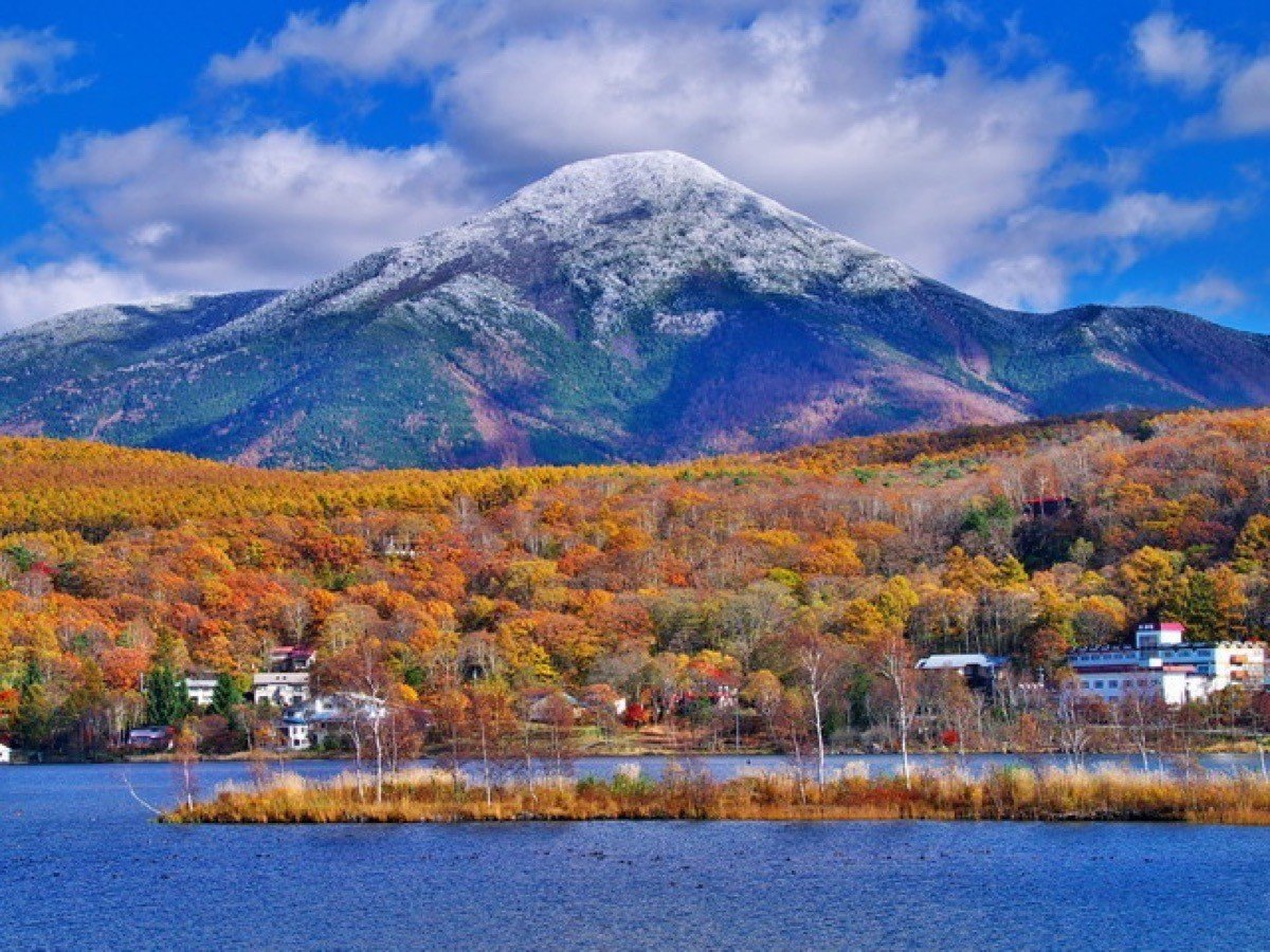 自然たっぷりの湖畔リゾート、白樺湖のこと｜LAKE TIME / 湖畔の時間