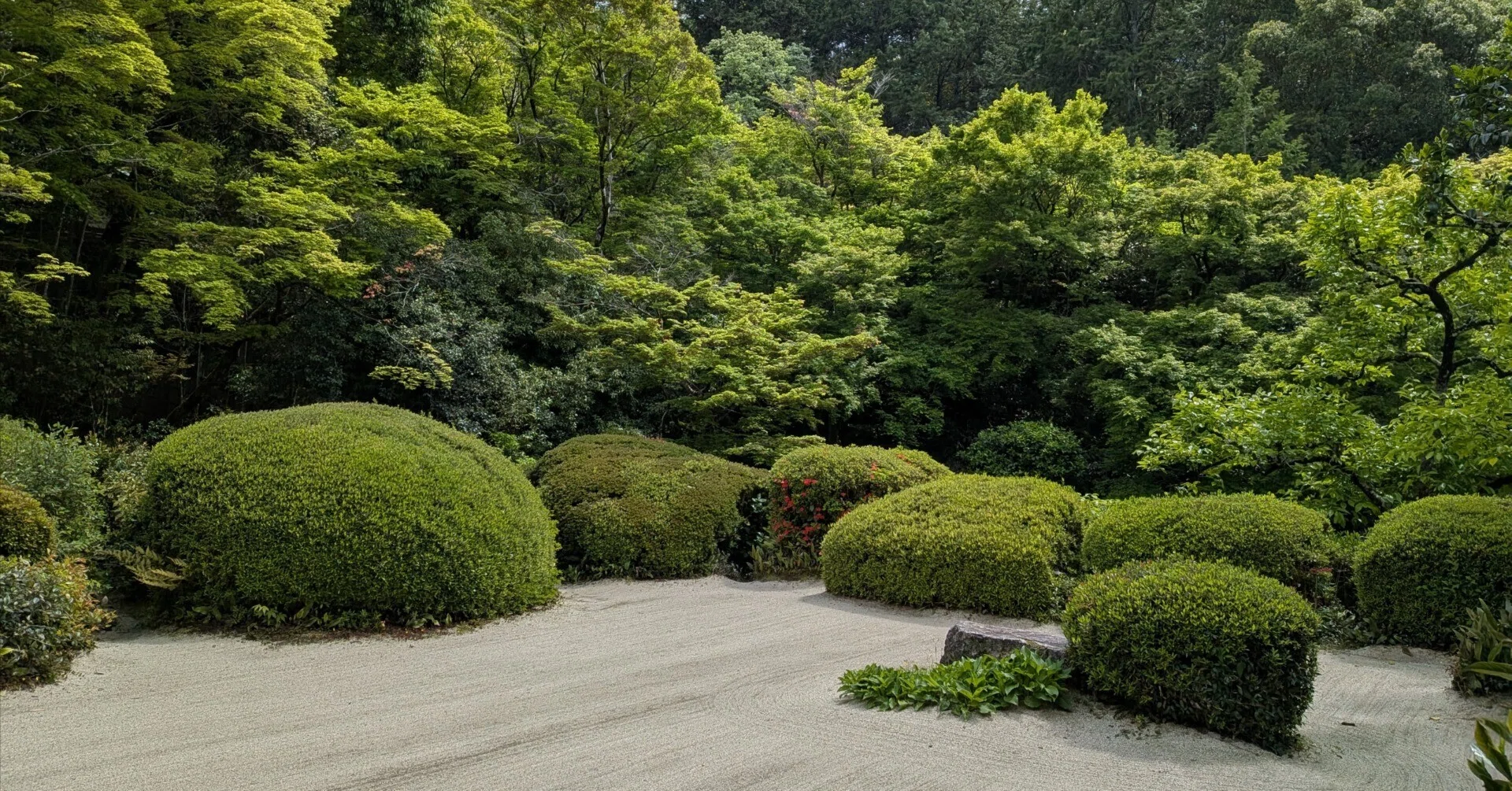 詩仙堂 ｜一花幻