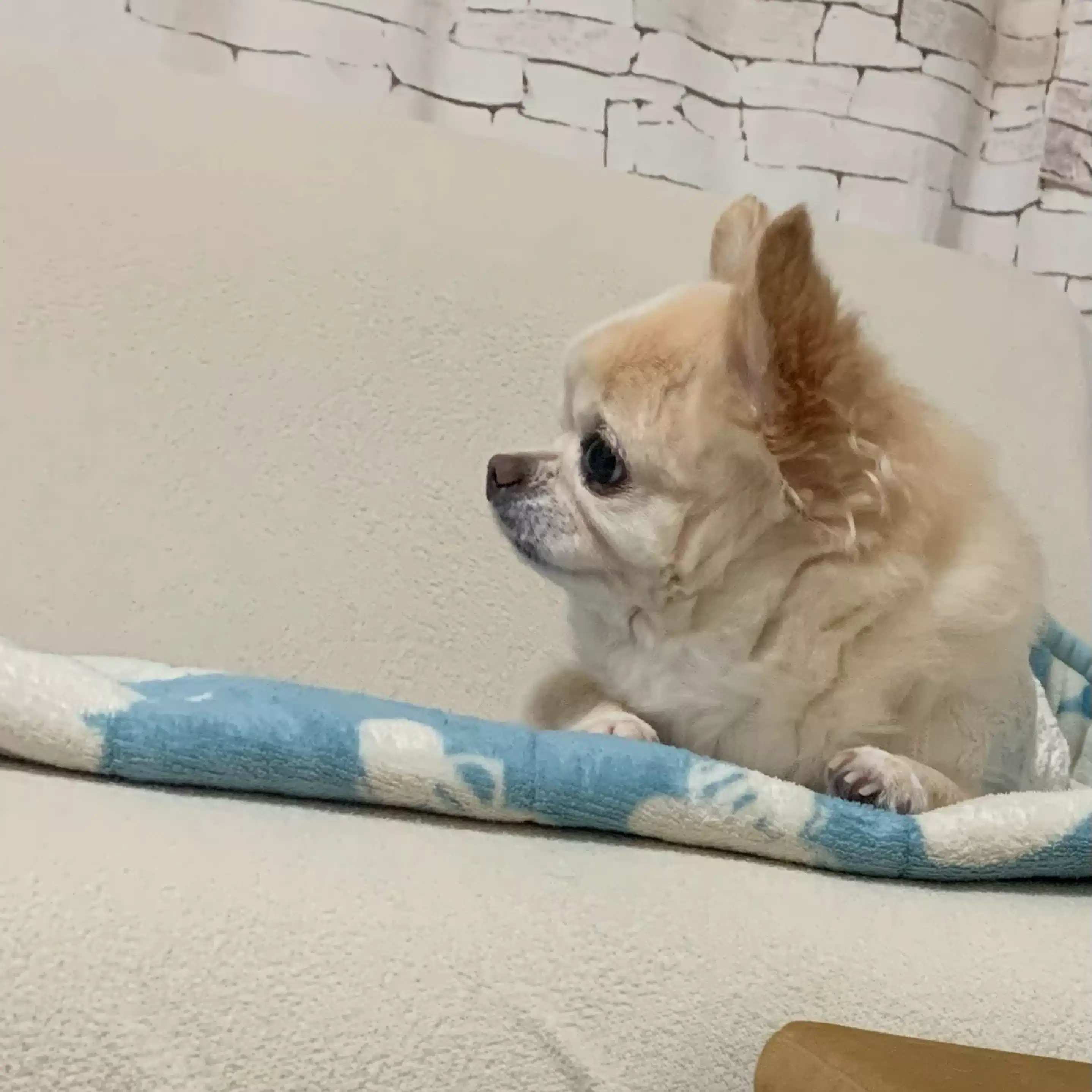 ことん．