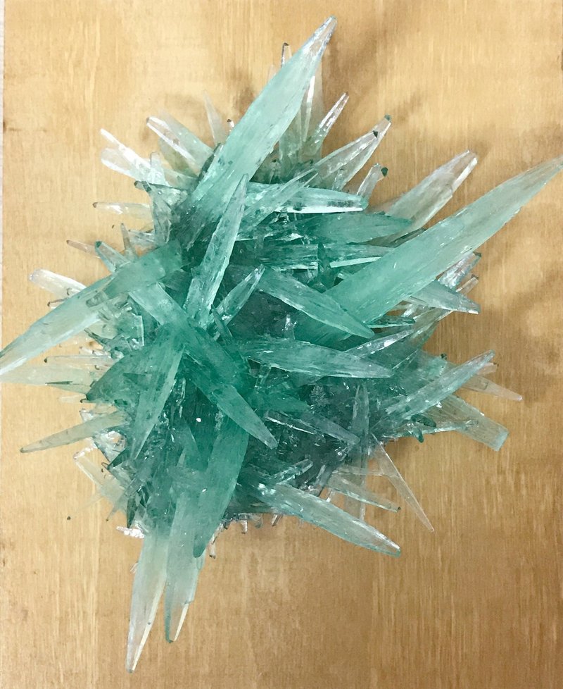 続 結晶をつくる生活 あれから2週間経った 鉢 Note