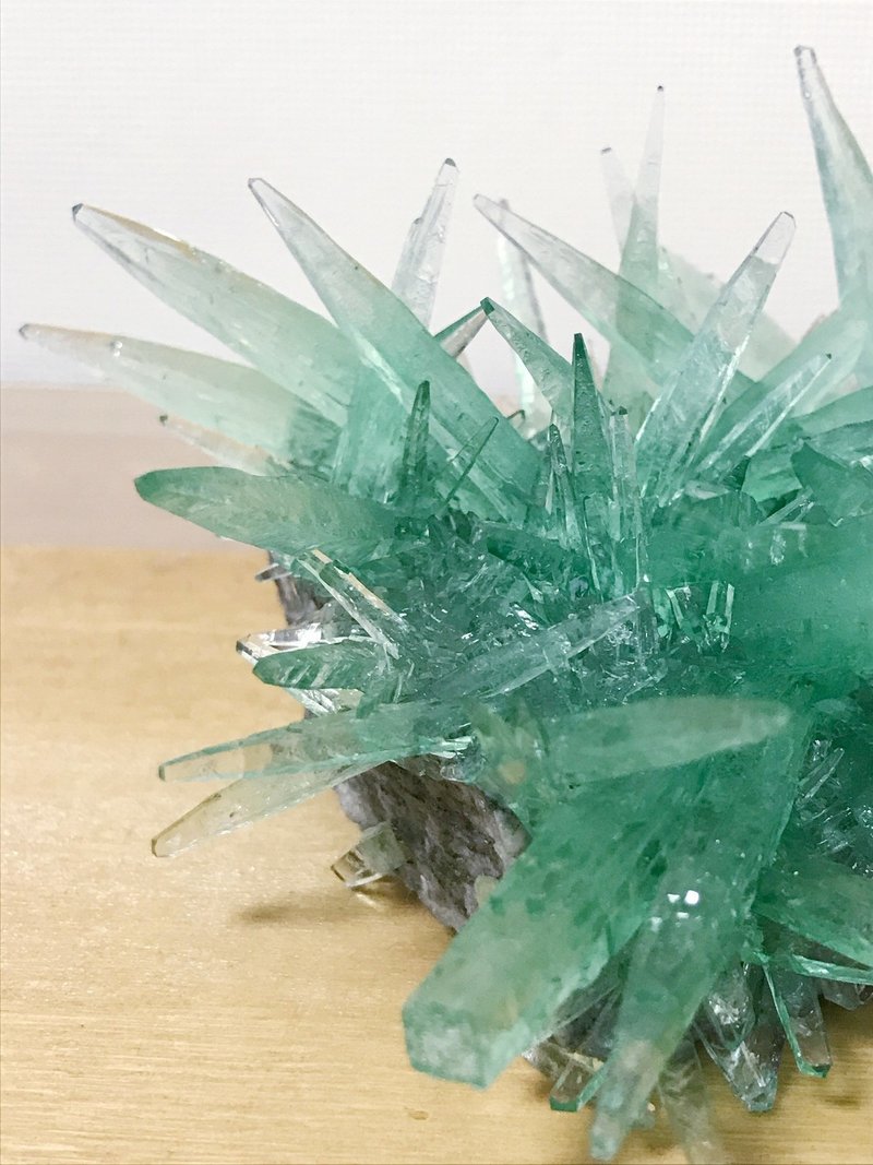 続 結晶をつくる生活 あれから2週間経った 鉢 Note