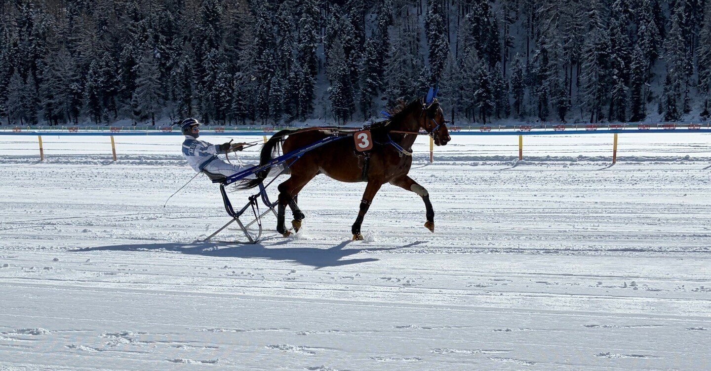 プーサン 16 2000年秋号　競馬 プーサン 15 2000年夏号 密かなる競馬の愉しみ - メルカリ