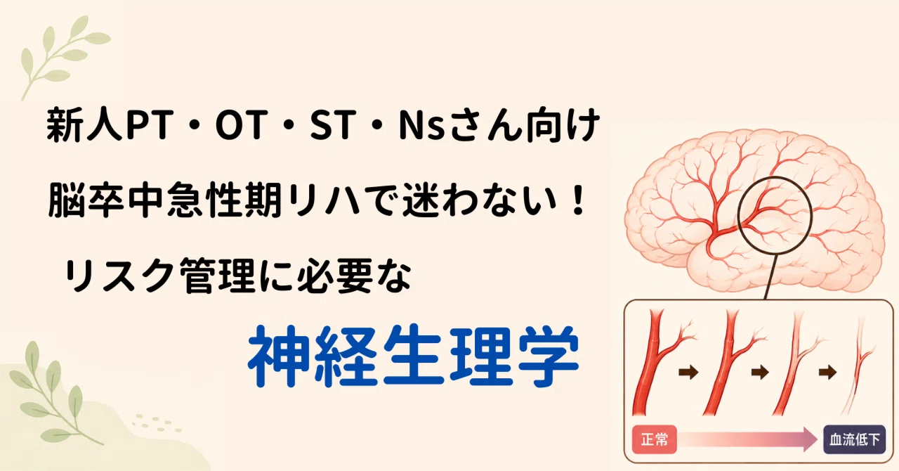 脳卒中急性期リハで迷わないための神経生理学｜脳血流とリスク管理