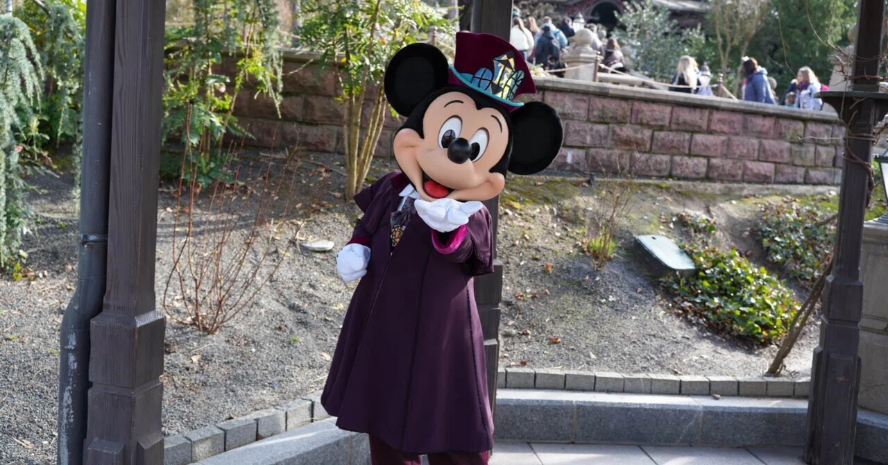 ディズニーベア ブラウン ウオルト・ディズニー・ワールド ディズニーベア ブラウン ウオルト・ディズニー・ワールド 【公式通販】