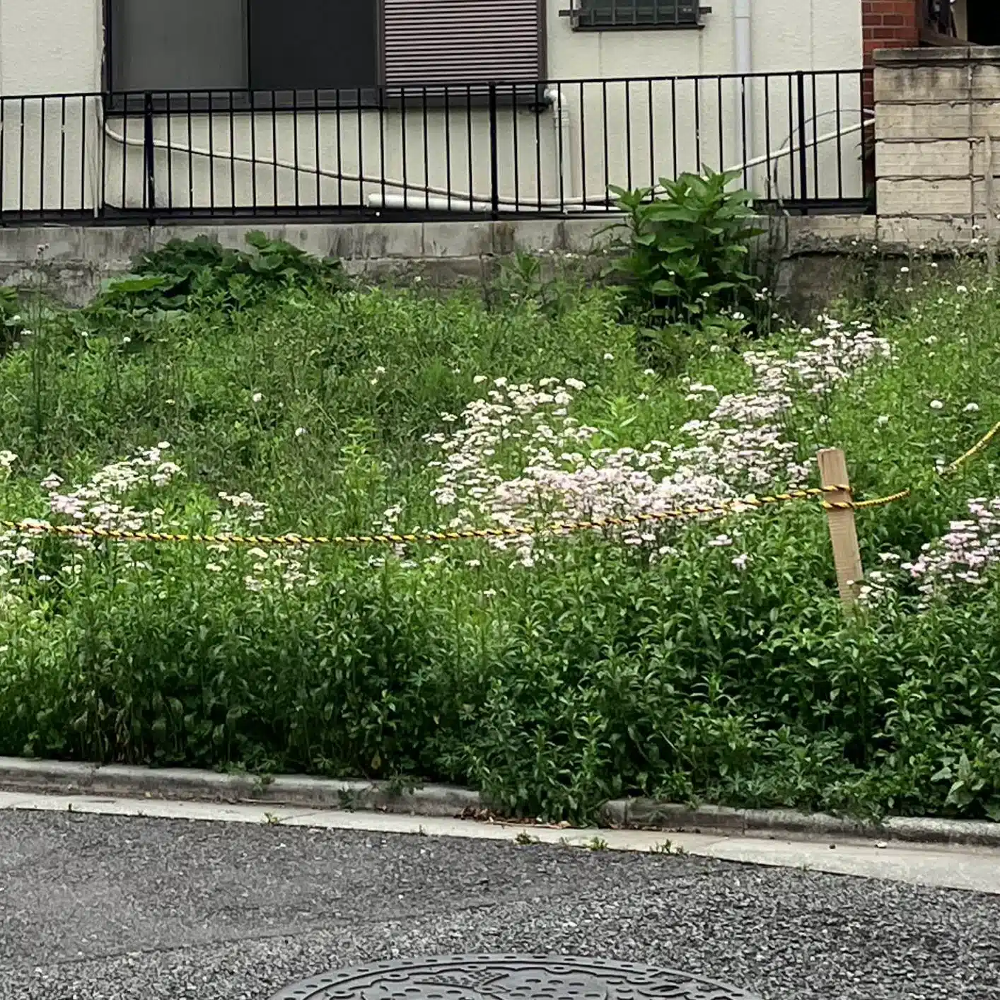 イナモト