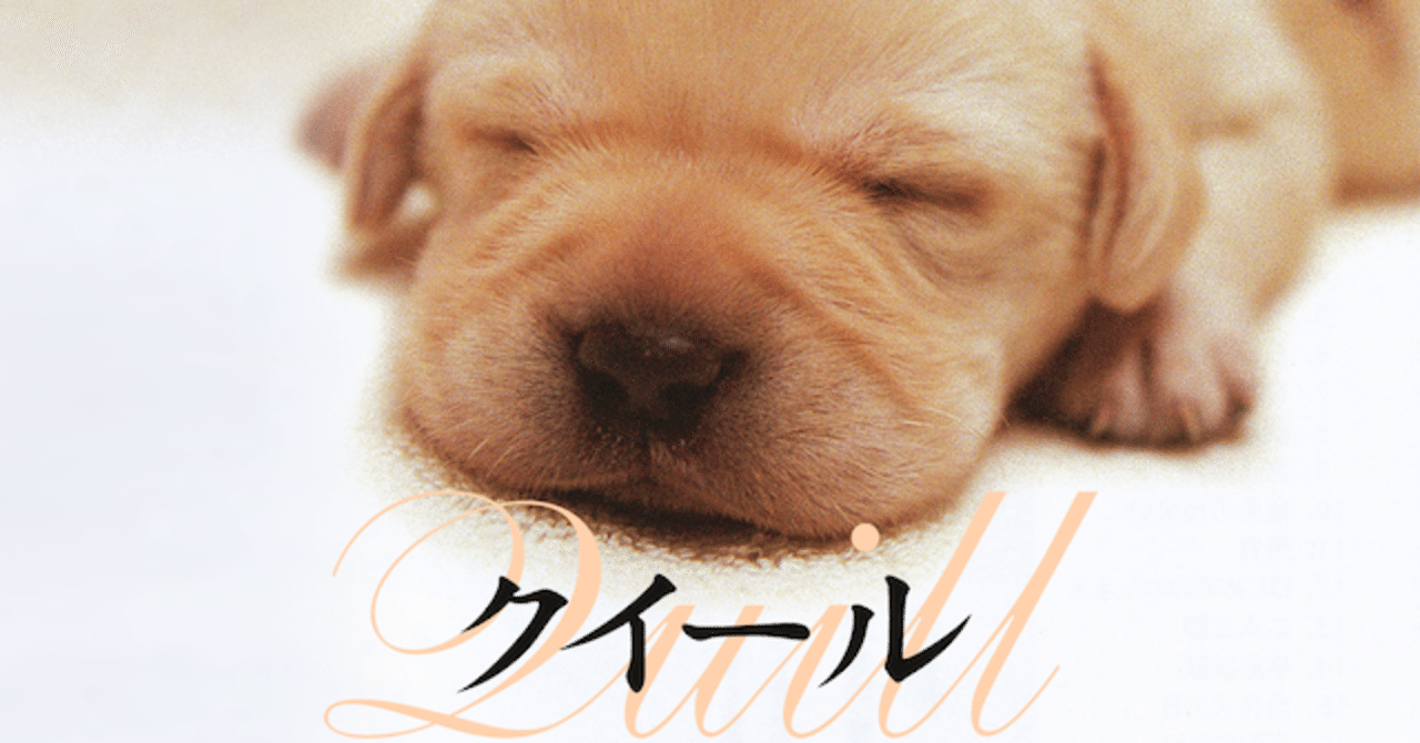 盲導犬への理解 Aki Note 盲導犬への理解 Aki Note
