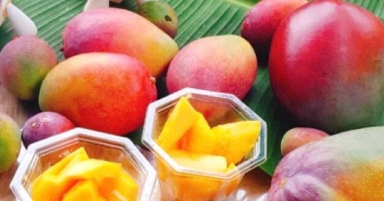 沖縄産マンゴー の新着タグ記事一覧 Note つくる つながる とどける