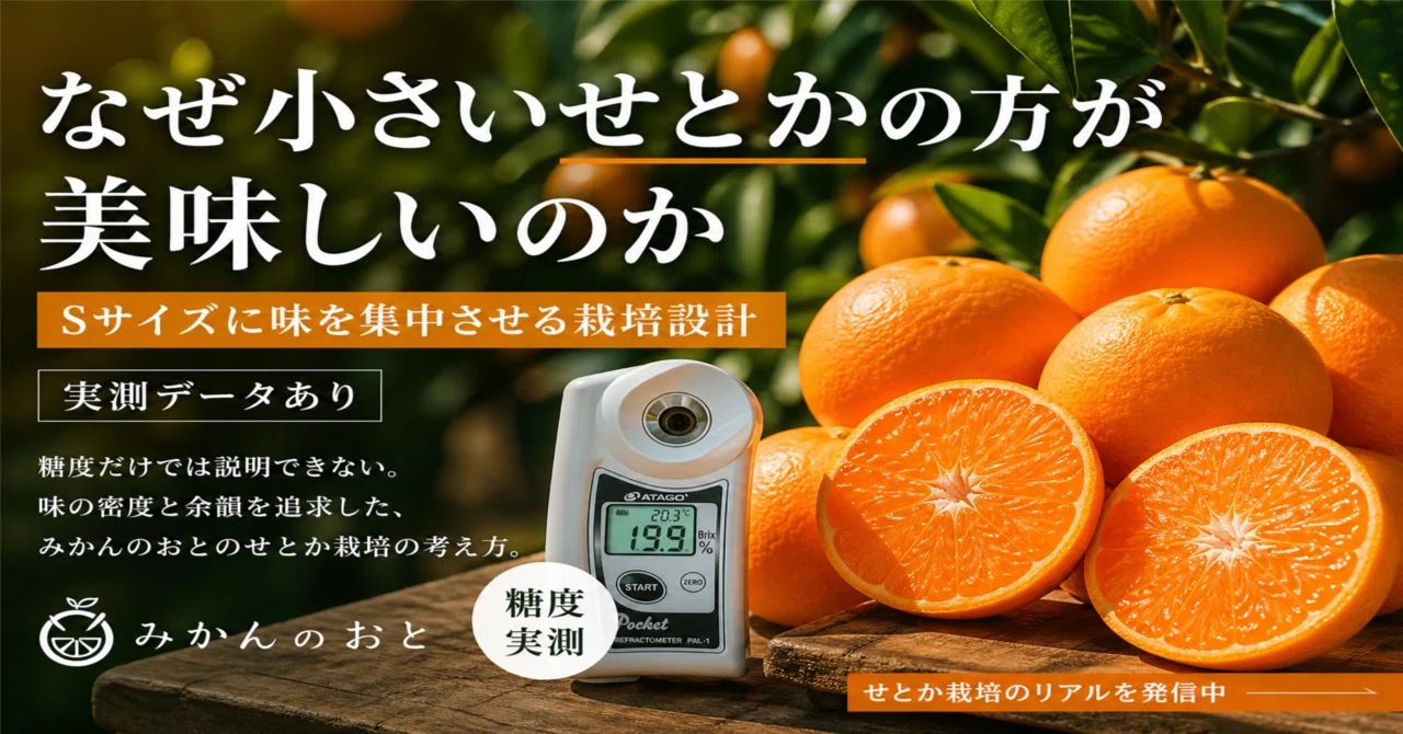 糖度だけでは説明できない話｜みかんのおと