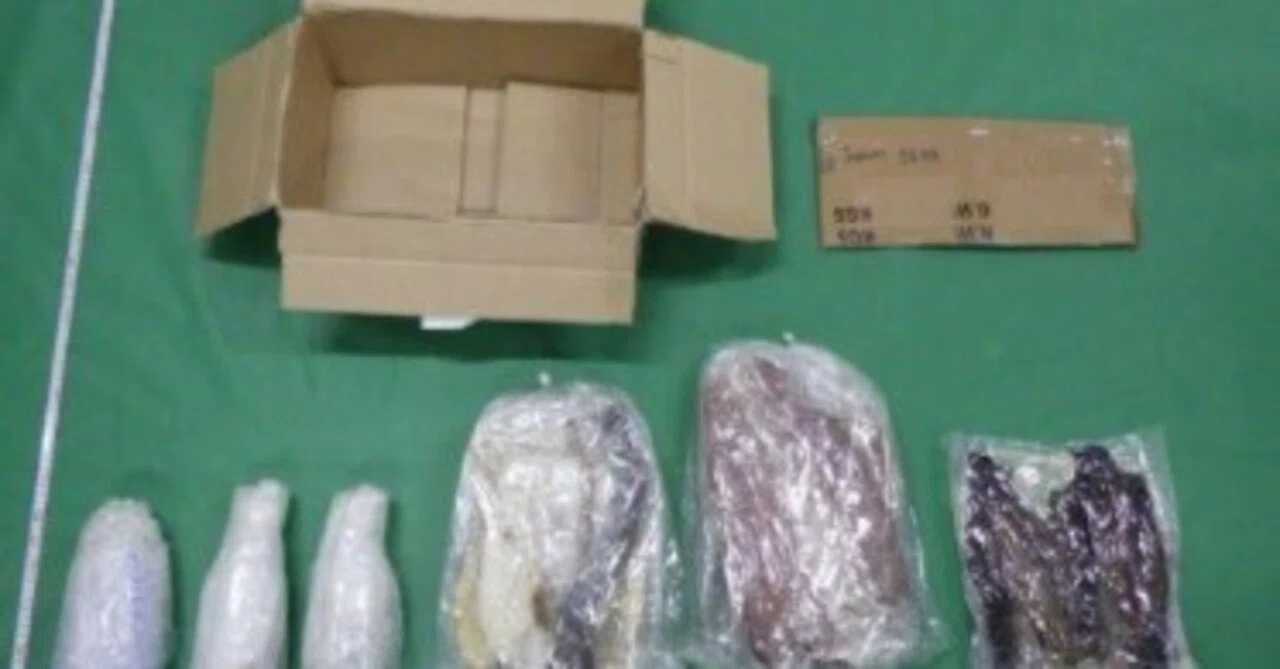 技能実習生がまた…カンボジア人2人、覚醒剤密輸で逮捕