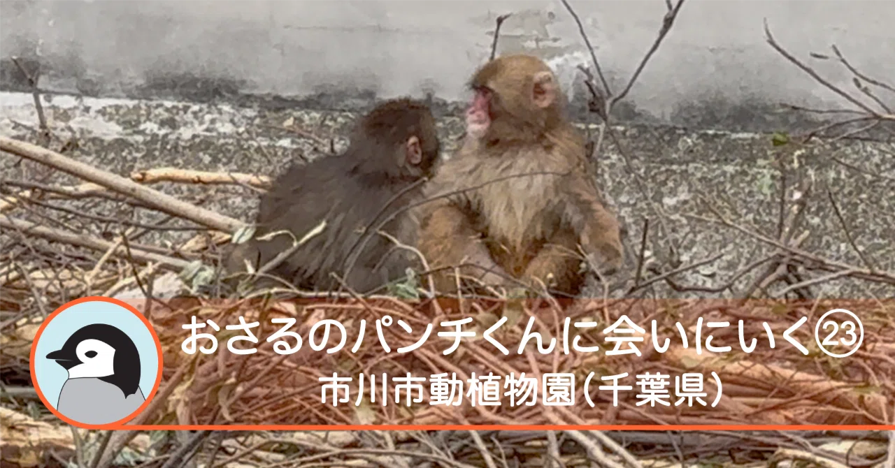 おさるのパンチくんに会いにいく23-市川市動植物園（千葉県）｜Solo