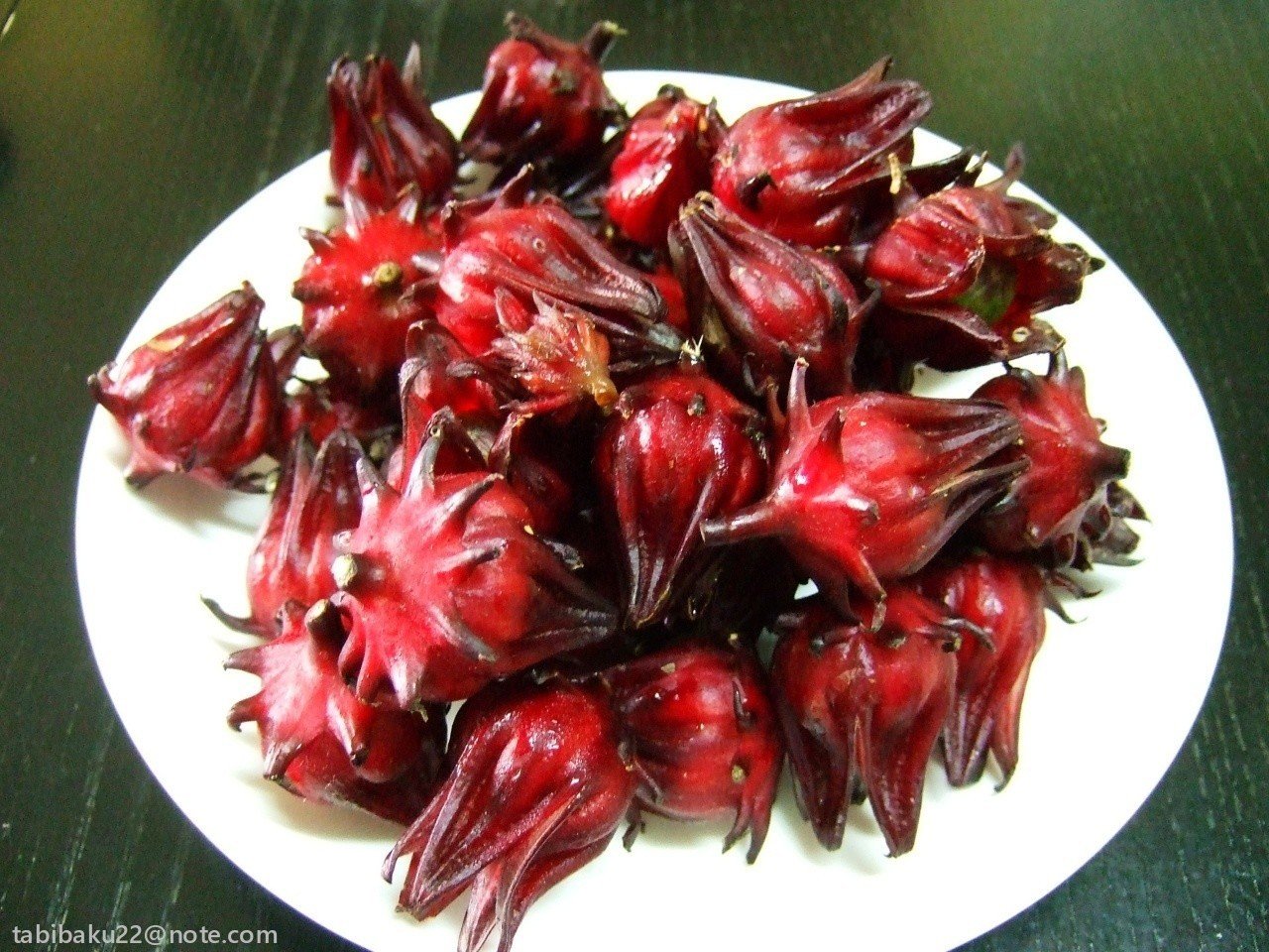 台所の冒険 ハイビスカスを食べる 森野バク 地球旅自炊派 Note 台所の冒険 ハイビスカスを食べる 森野バク 地球旅自炊派 Note