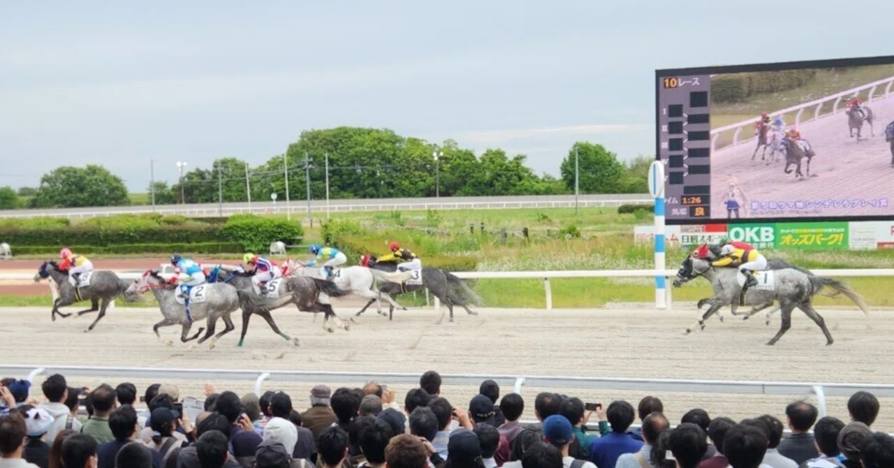 ウマ娘シンデレラグレイ×笠松競馬場 2026 行ってきた｜saLA(さら)