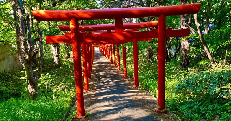 僕が目指す温かみのある写真 よーしゅ Note