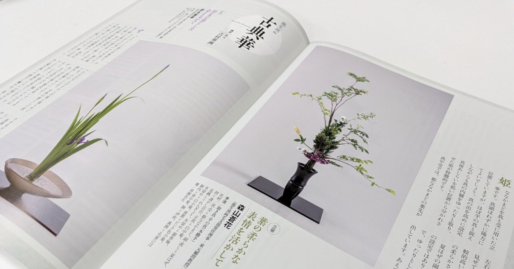 立花資料集成 影印資料篇 　上中下巻セット　（りっか・生花・いけばな・華道） 立花資料集成 影印資料篇 上中下巻 / 小雨堂 / 古本、中古本、古書籍の