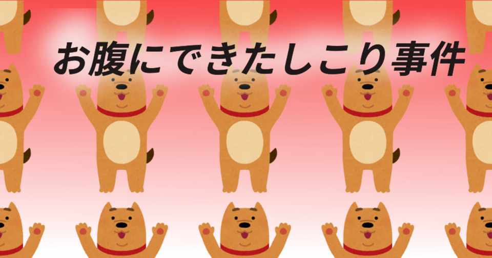 動物看護師事件file1 おばさん動物看護師 Note