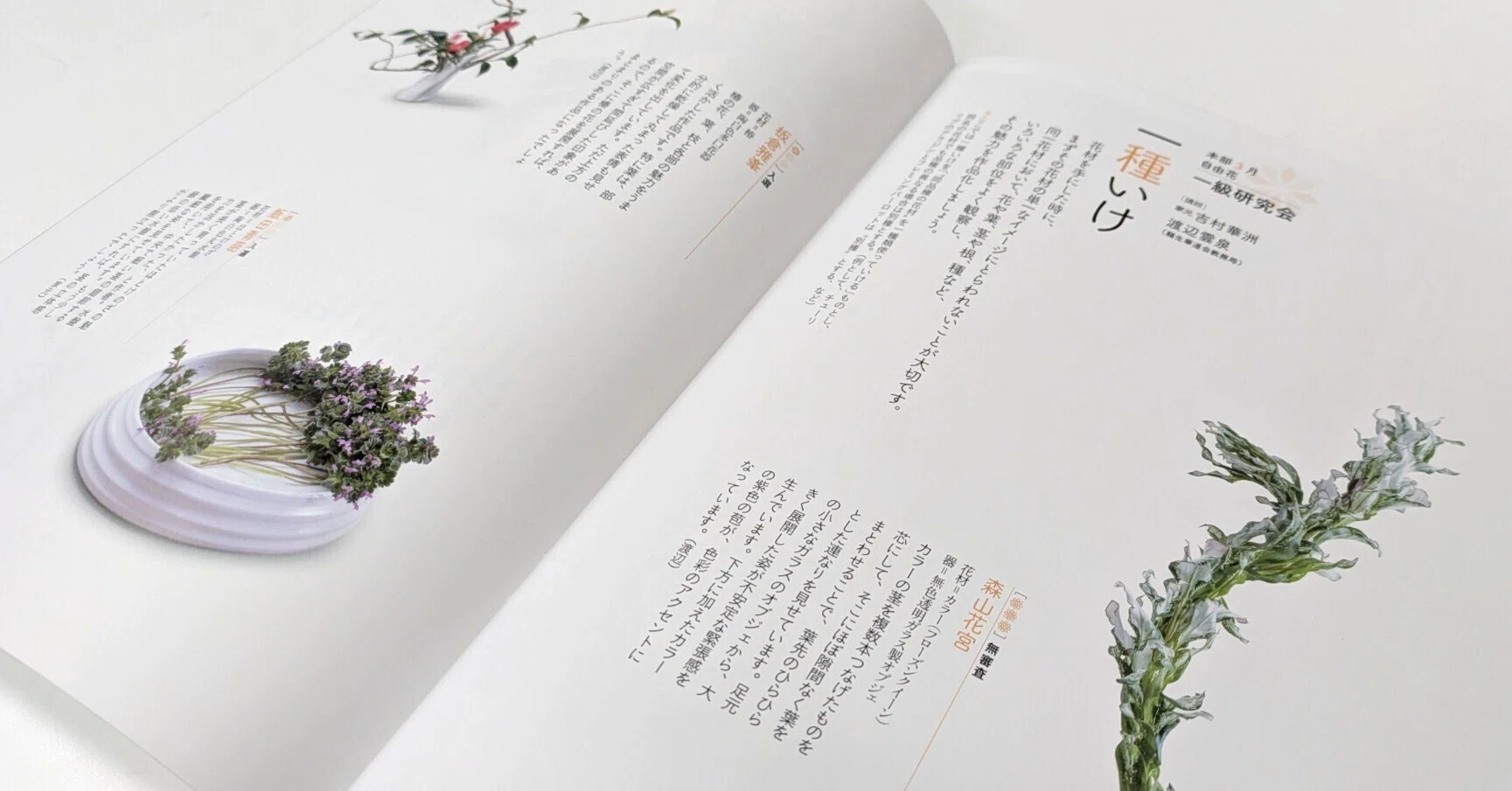 一種類だけの植物で突き詰める表現（『いけ花龍生』5月号掲載/本部3月