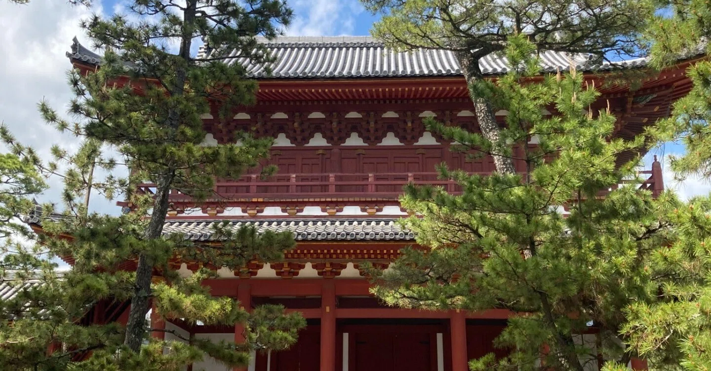 妙心寺①（20260427）｜やまいつ