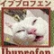 綺崎(きさき)