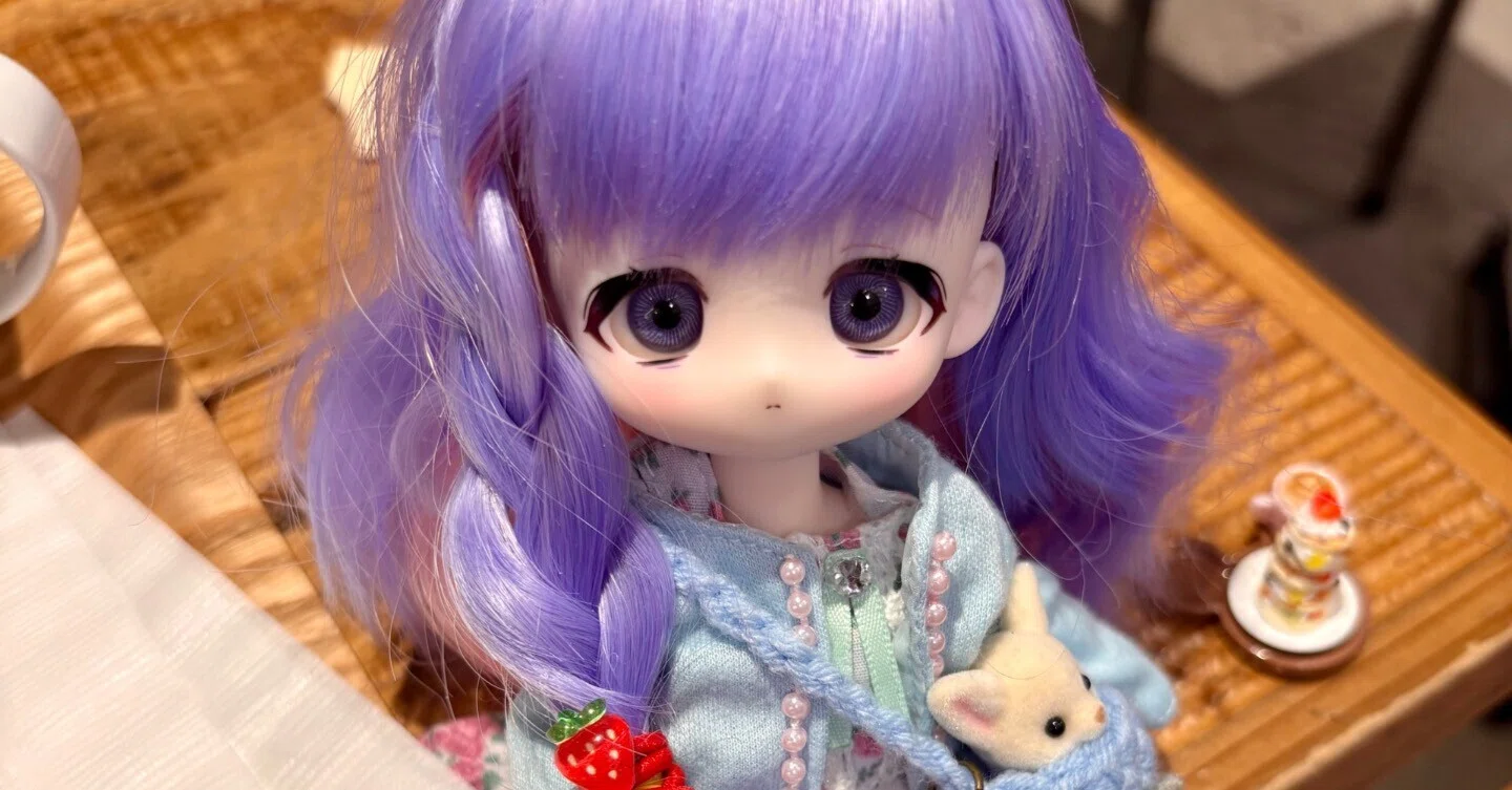 ボニバニ6ちゃんお迎え記録｜趣味助