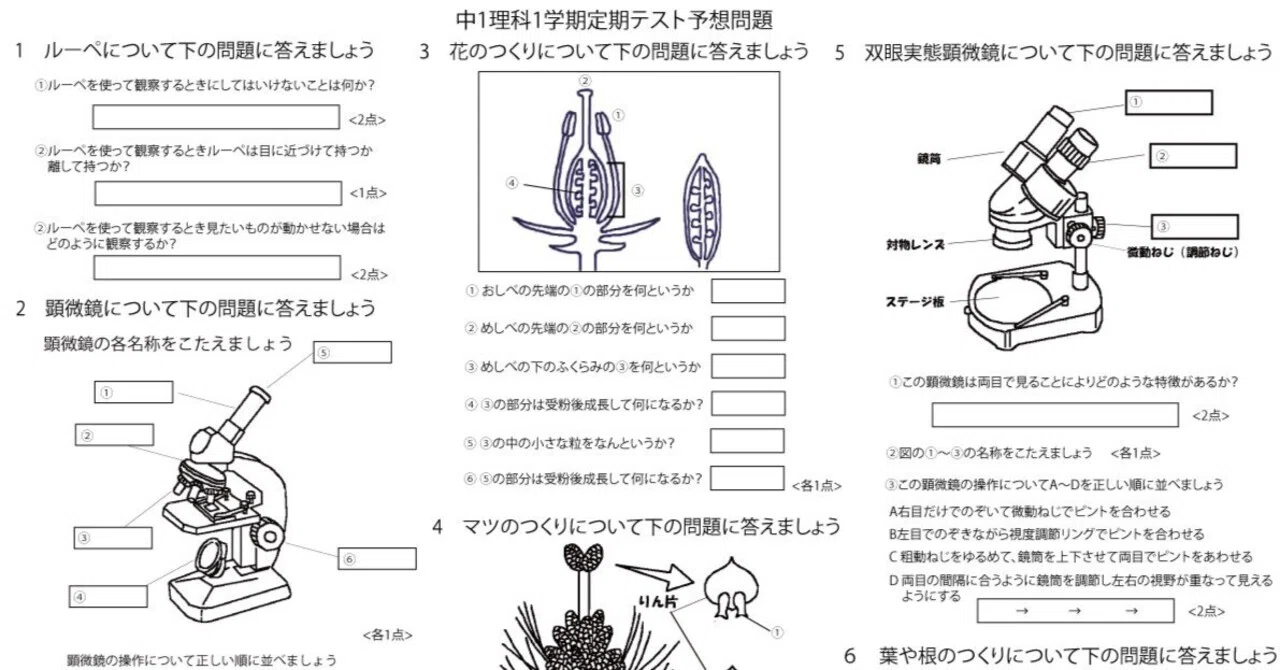中学 1 年生 期末 テスト 理科