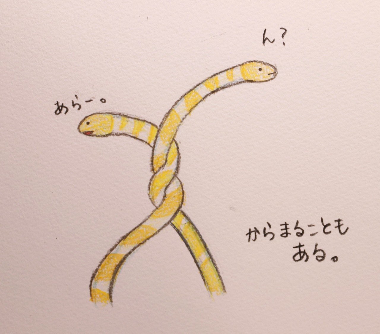 チンアナゴとニシキアナゴ くじくじら Note チンアナゴとニシキアナゴ くじくじら Note