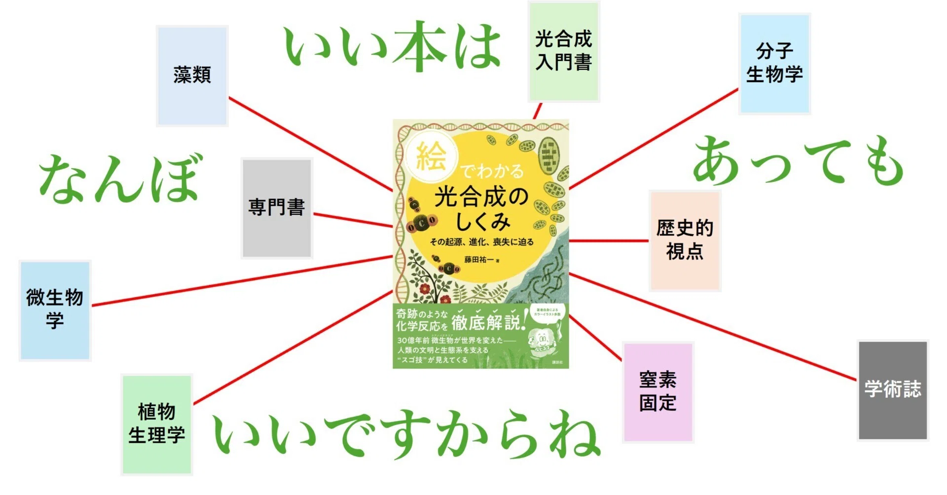 テイツ/ザイガー 植物生理学・発生学 原著第6版 (KS生命科学専門書) 【公式