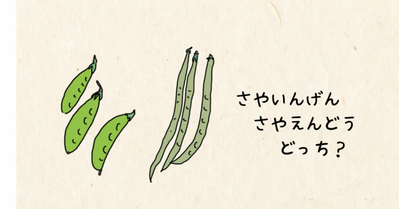 絹さやさんありがとうございます❣️ こんにちは、絹さやさん。｜ふみはは