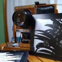 機材修理 保険入ってて良かったと心底思った話 横田裕市 写真家 機材修理 保険入ってて良かったと心底思った話 横田裕市 写真家