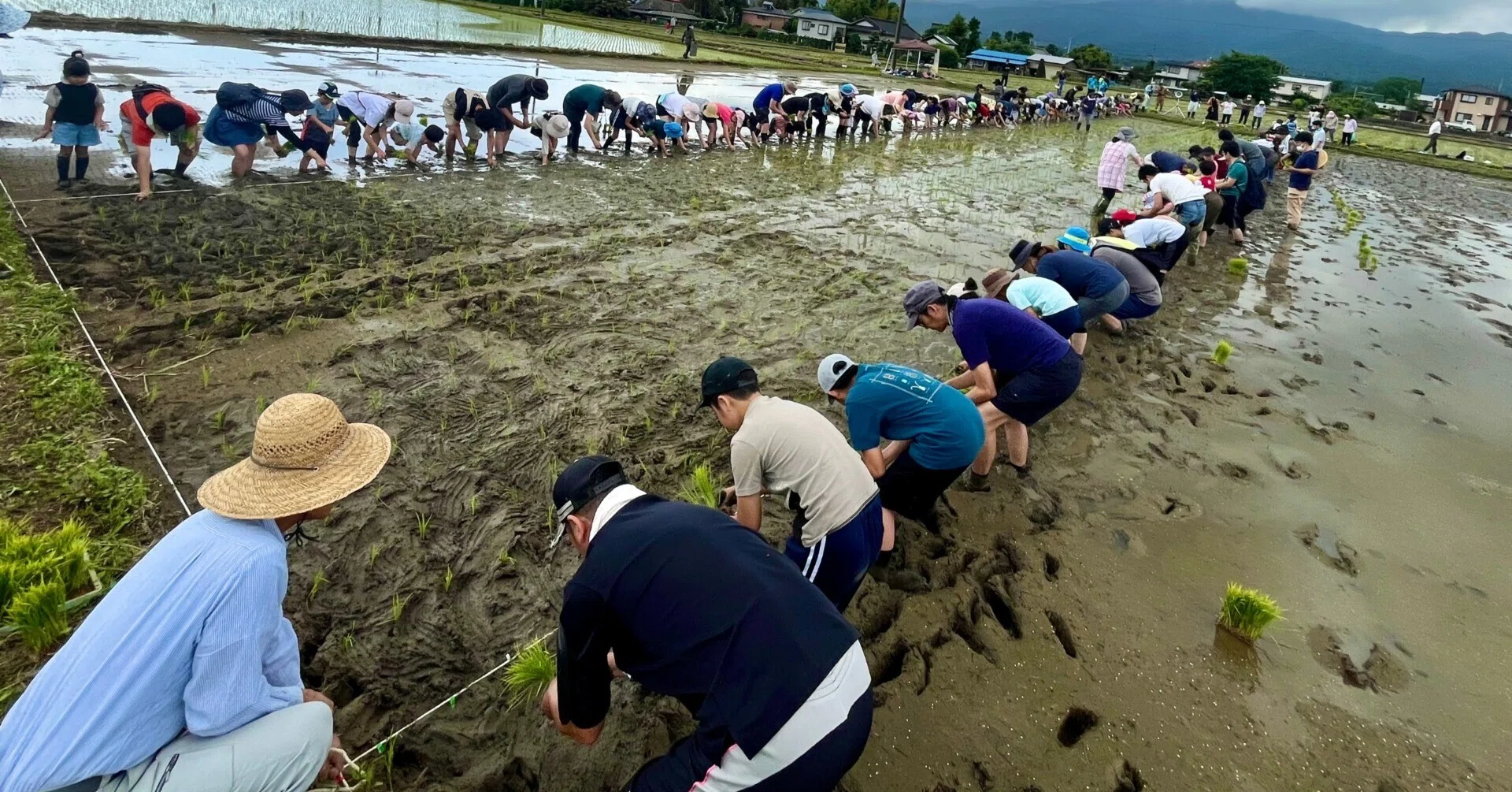 2026/5/9 田植えを体験してみよう ～ 開成町米栽培体験学習塾 参加者