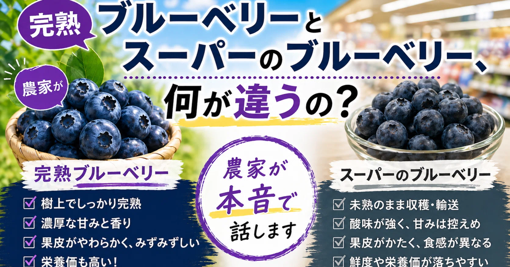 What is the difference between fully ripened blueberries and